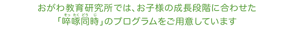 おがわ教育研究所の、お子様の成長段階に合わせた啐啄同時のプログラム